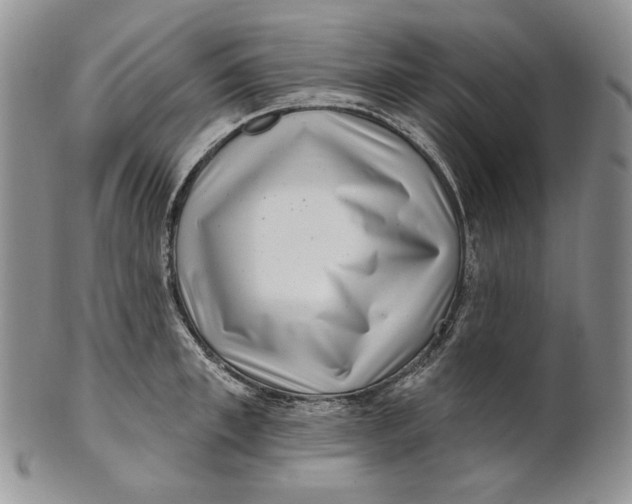 X0000100780997200807101812