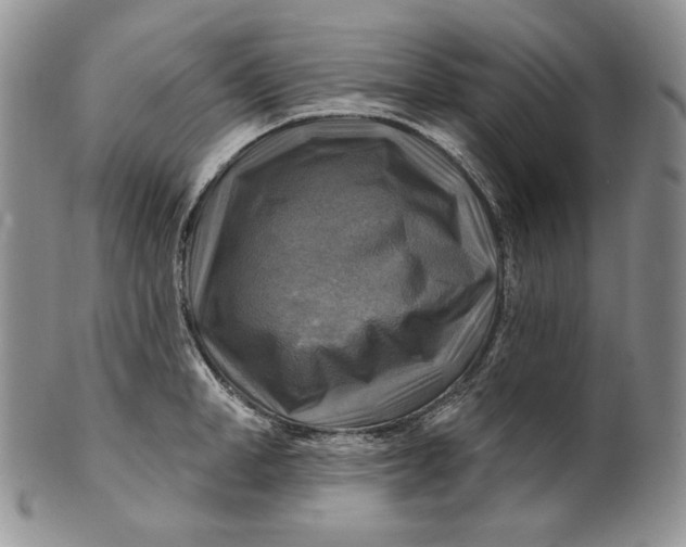 X0000100780998200807101812