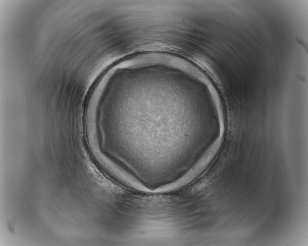 X0000100781000200807101812