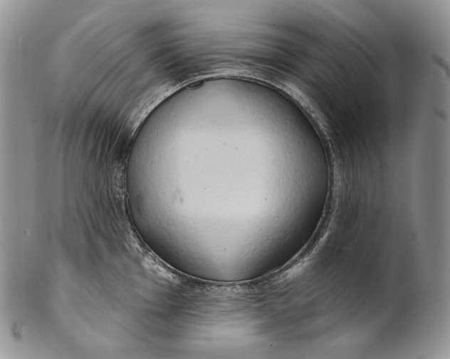 X0000100781001200807101812