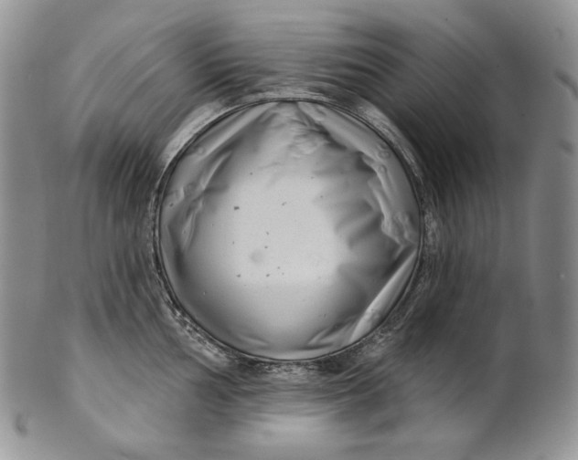 X0000100781002200807101812