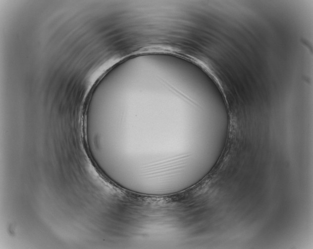 X0000100781003200807101812