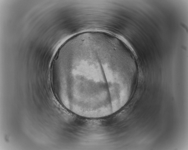 X0000100781004200807101812