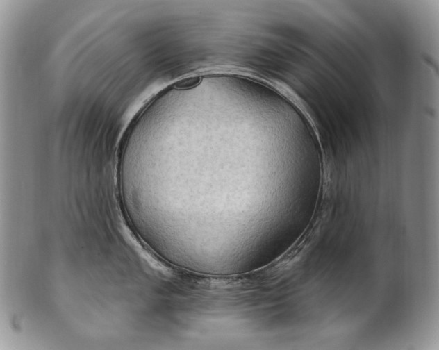 X0000100781005200807101812