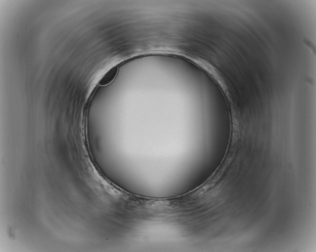 X0000100781006200807101812