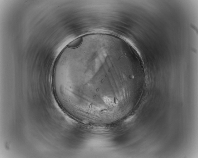 X0000100781007200807101812