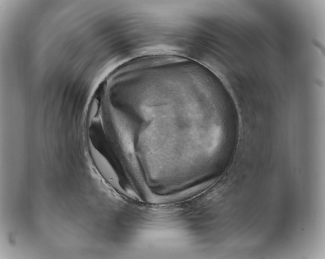 X0000100781008200807101812