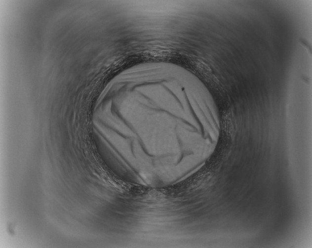 X0000100781009200807101811