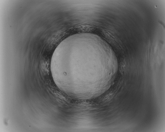 X0000100781010200807101811