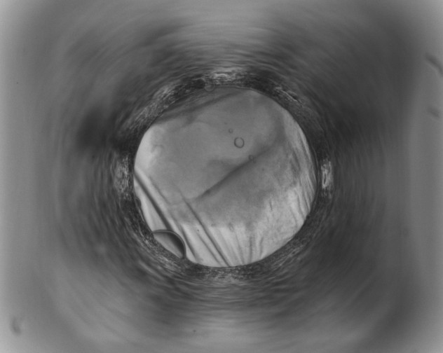 X0000100781011200807101811