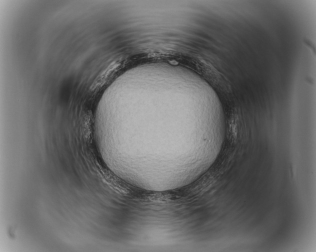 X0000100781012200807101811