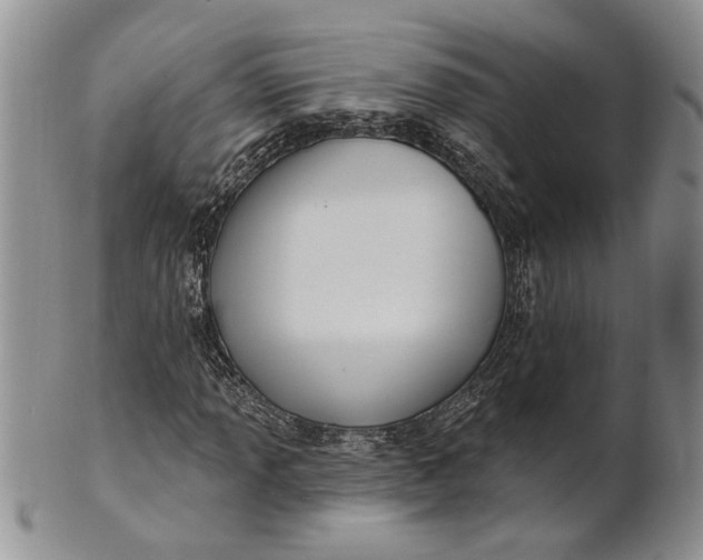 X0000100781013200807101811