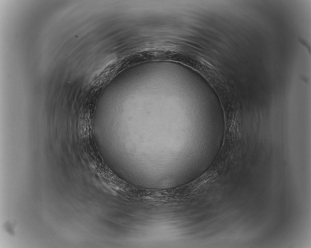 X0000100781014200807101811