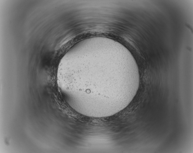 X0000100781015200807101811