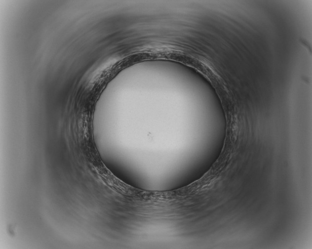 X0000100781016200807101811