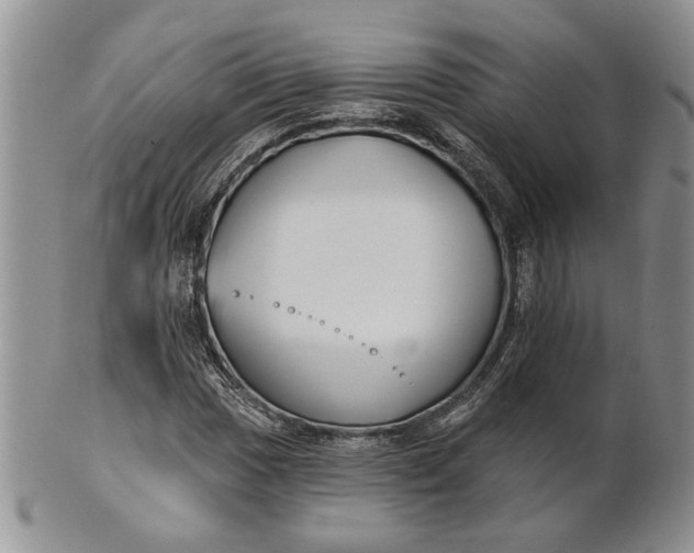 X0000100781017200807101811