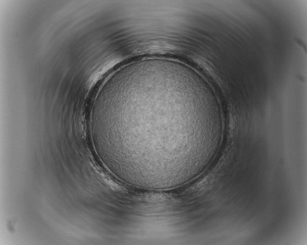 X0000100781018200807101811