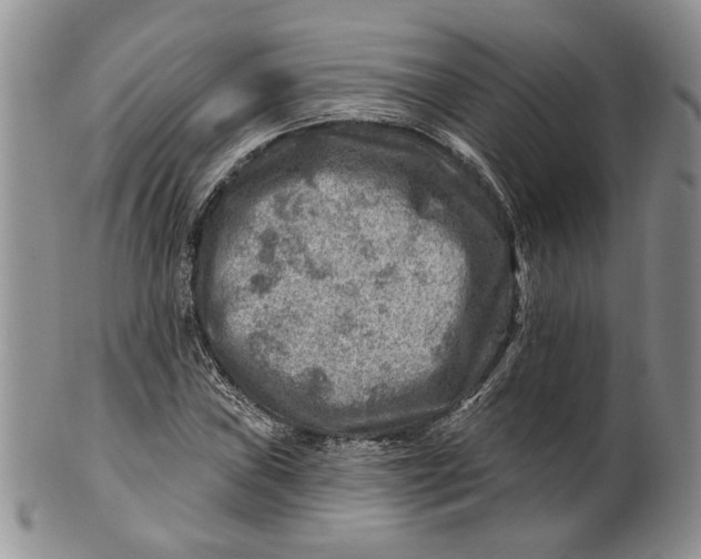 X0000100781019200807101811