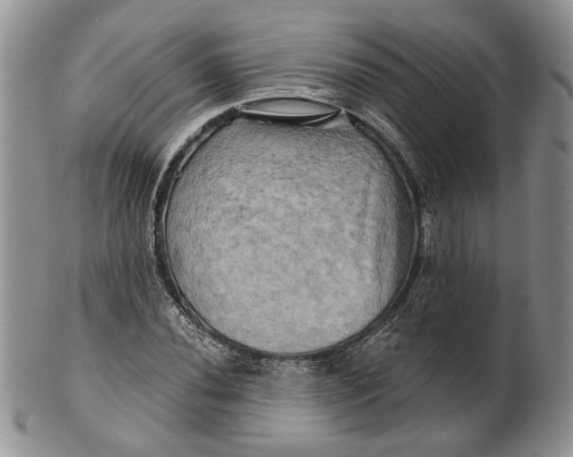 X0000100781020200807101811