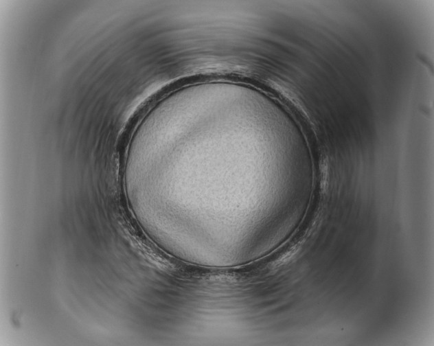 X0000100781021200807101811