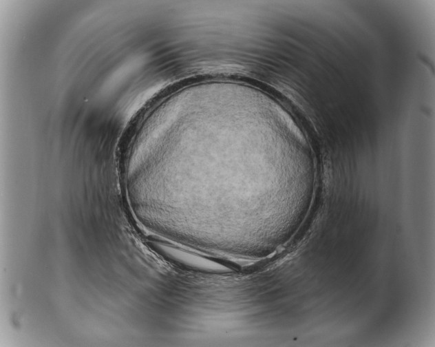 X0000100781022200807101811