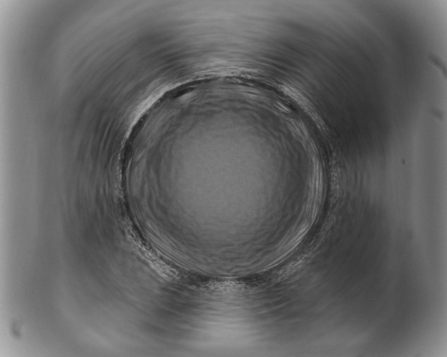 X0000100781023200807101811