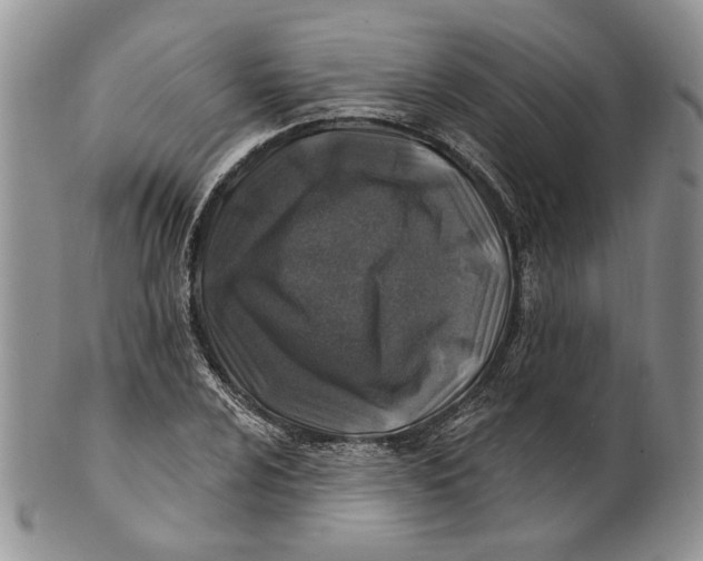 X0000100781024200807101811