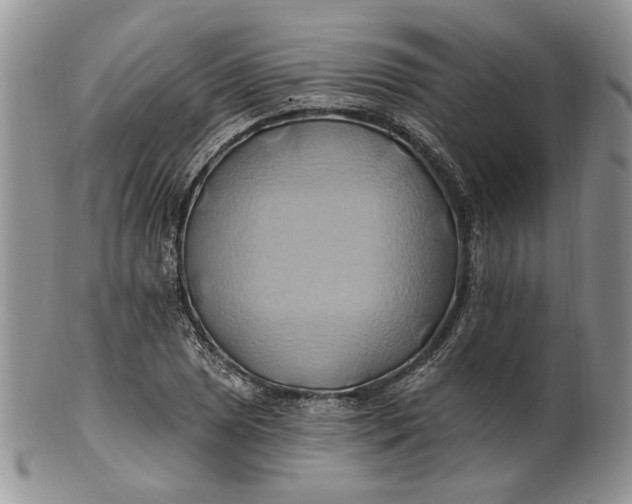 X0000100781025200807101811