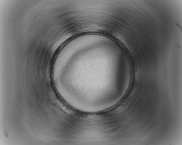 X0000100781026200807101811