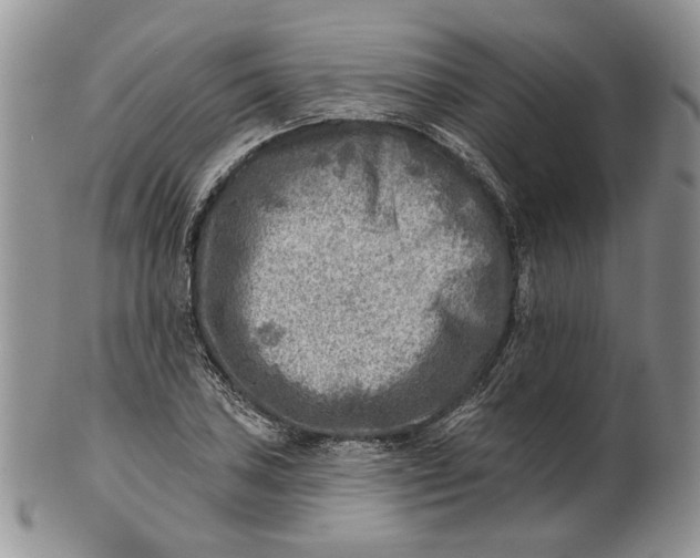 X0000100781027200807101811