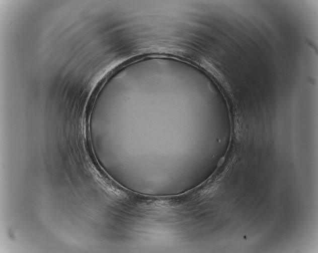 X0000100781028200807101811