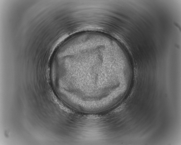 X0000100781029200807101811