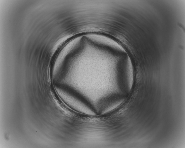 X0000100781030200807101811