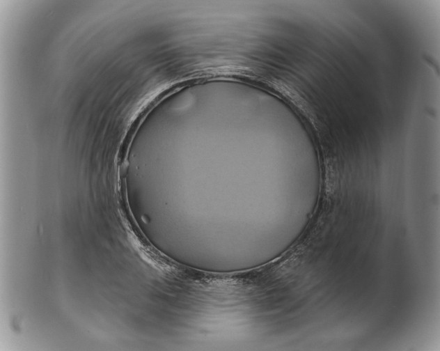 X0000100781031200807101811