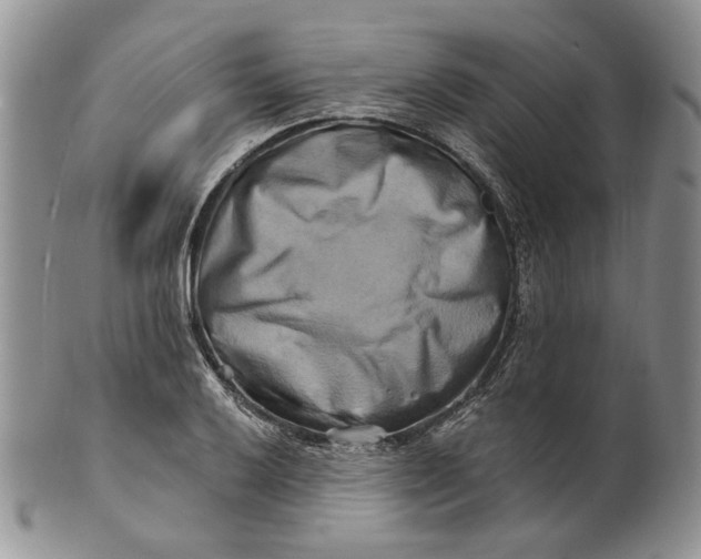 X0000100781032200807101811