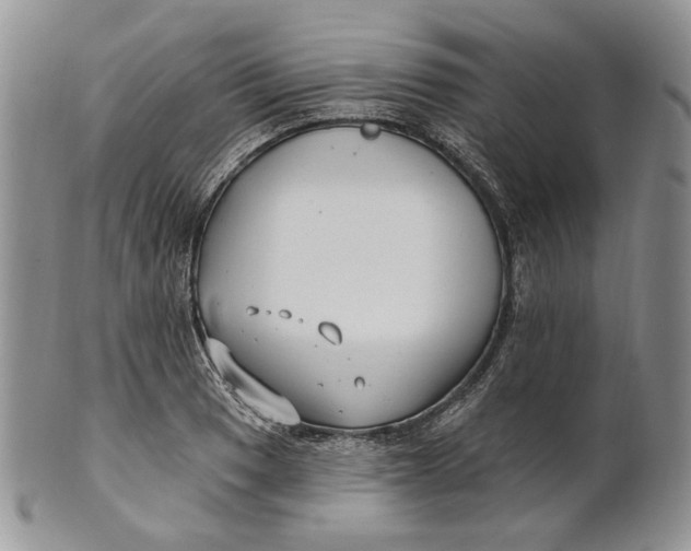 X0000100781033200807101811