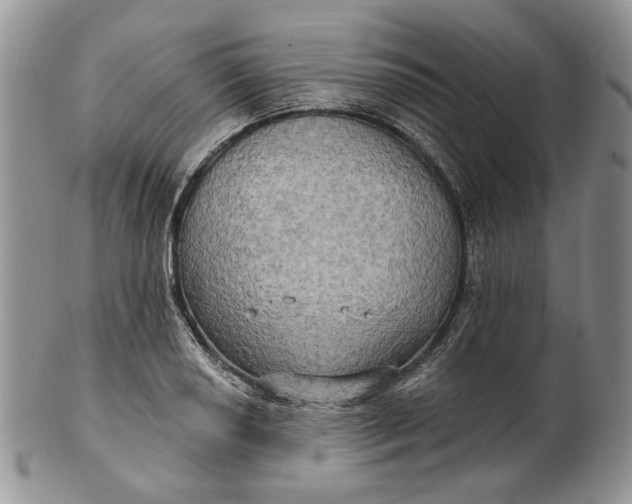 X0000100781034200807101811