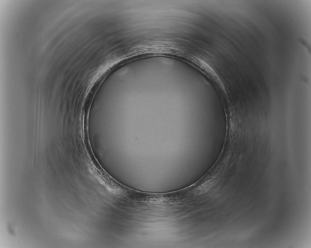 X0000100781035200807101811