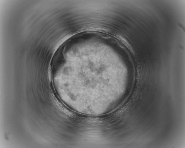 X0000100781036200807101811