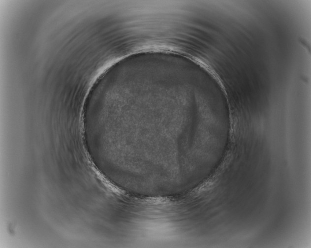 X0000100781037200807101811