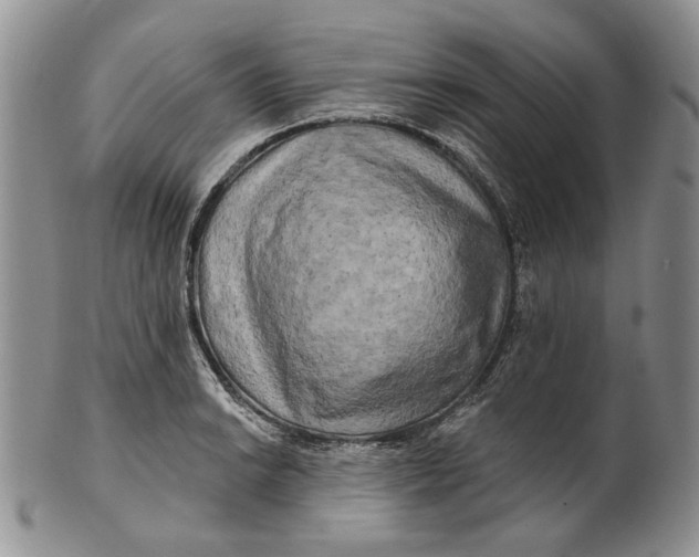 X0000100781038200807101811