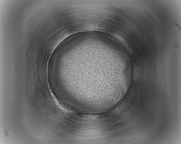 X0000100781039200807101811