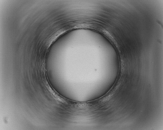 X0000100781041200807101811