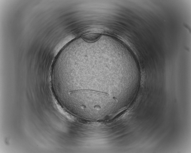 X0000100781042200807101811