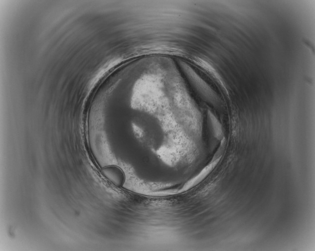 X0000100781043200807101811