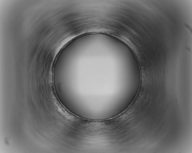 X0000100781044200807101811