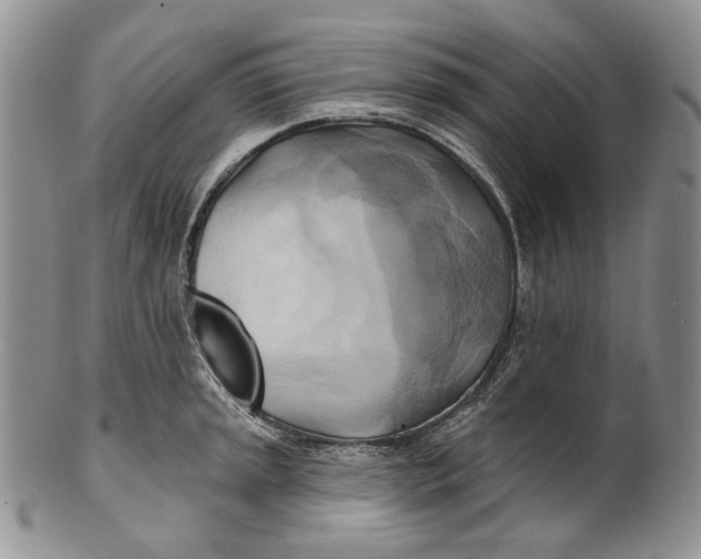 X0000100781045200807101811