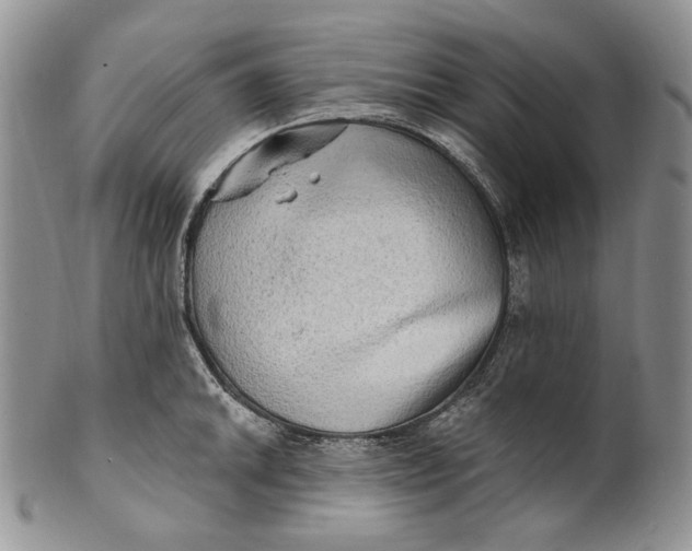 X0000100781046200807101811