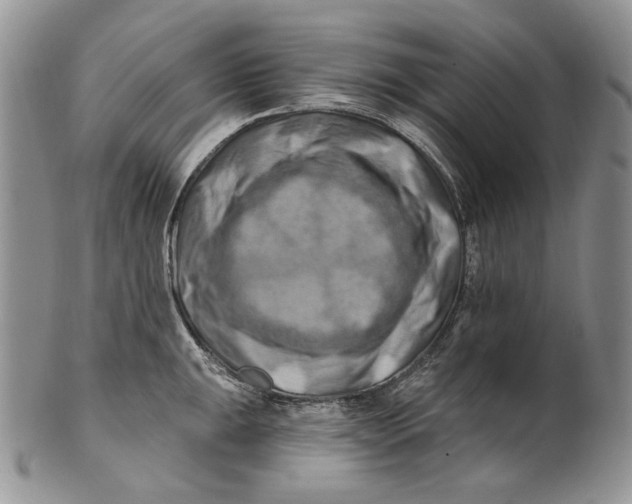 X0000100781047200807101811