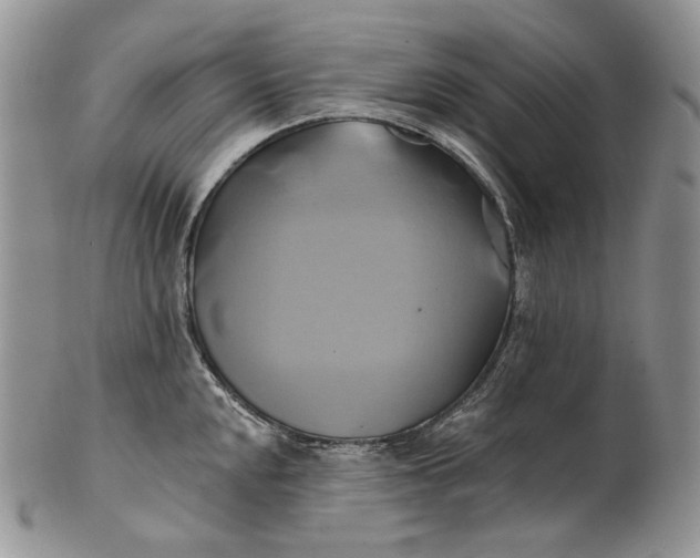 X0000100781048200807101811